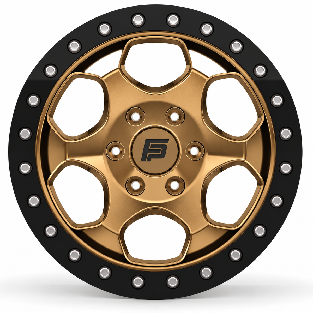 FP-T1