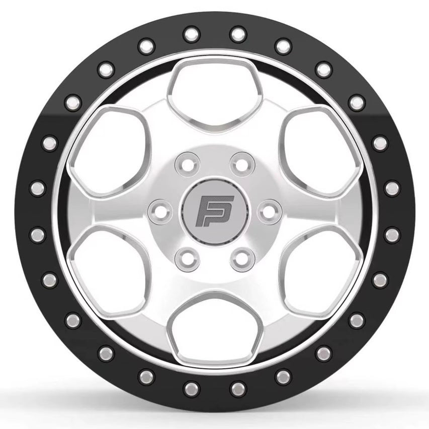FP-T1