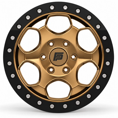 FP-T1