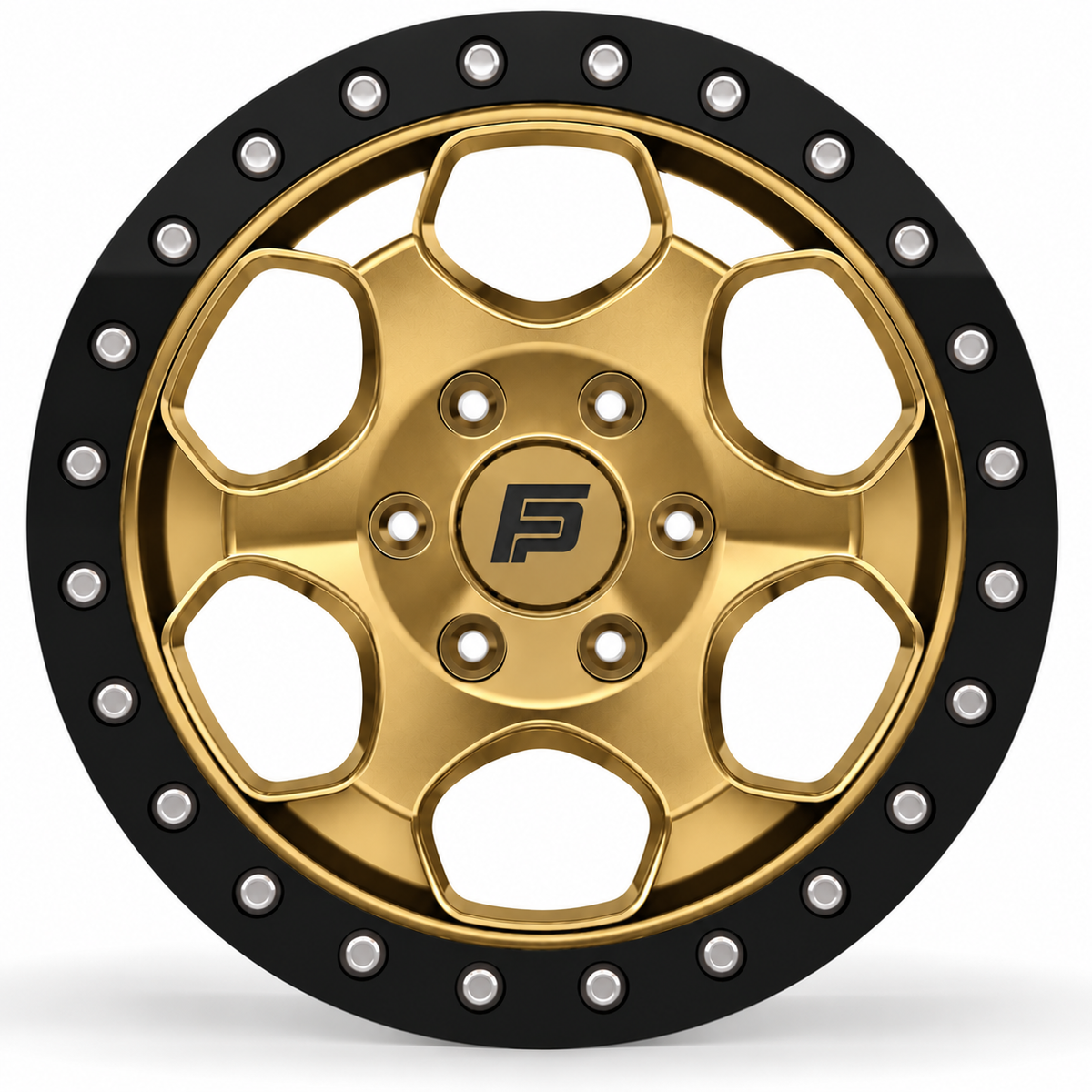 FP-T1