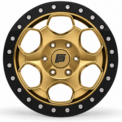 FP-T1