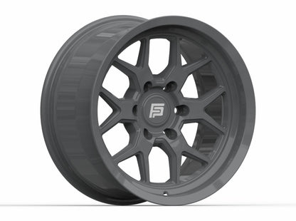 FP2 - Grey