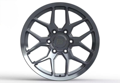 FP2-NL - Grey